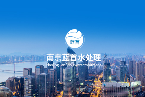 灵武建站-南京蓝首水处理设备有限公司